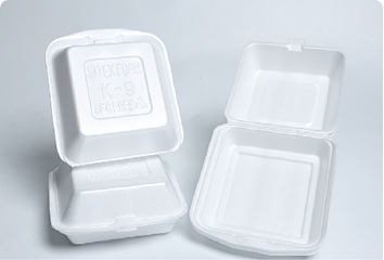 PS Foam (Polystyrene Foam)